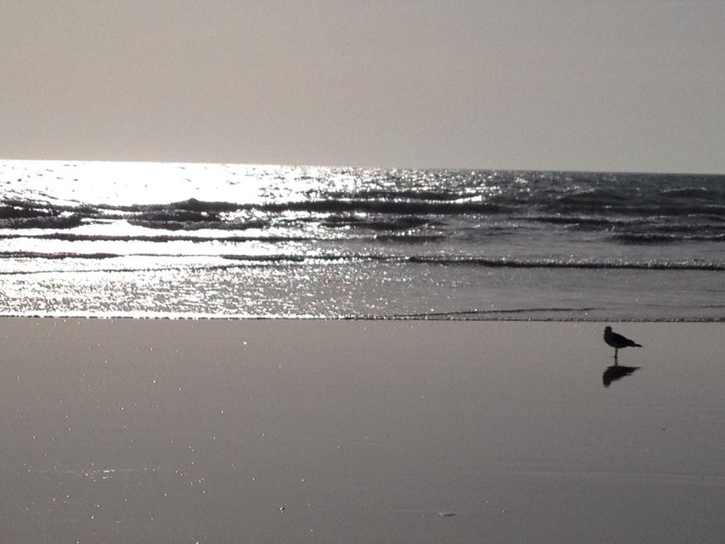 Vendee Vue Mer Saint-Hilaire-de-Riez Dış mekan fotoğraf